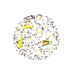 Chai Gingembre Cardamome