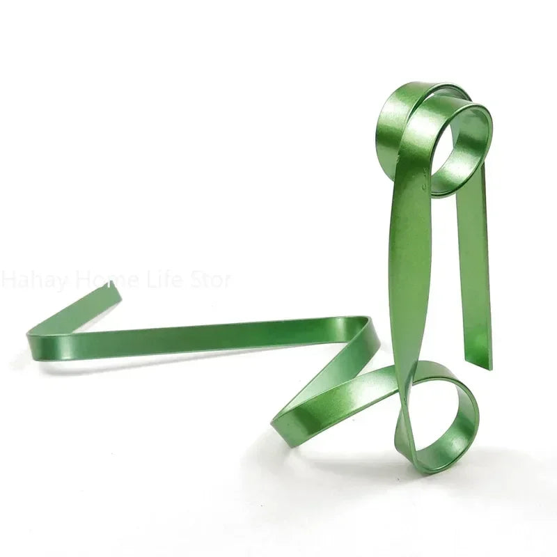 Support à Bouteille de Vin en Ruban Métallique